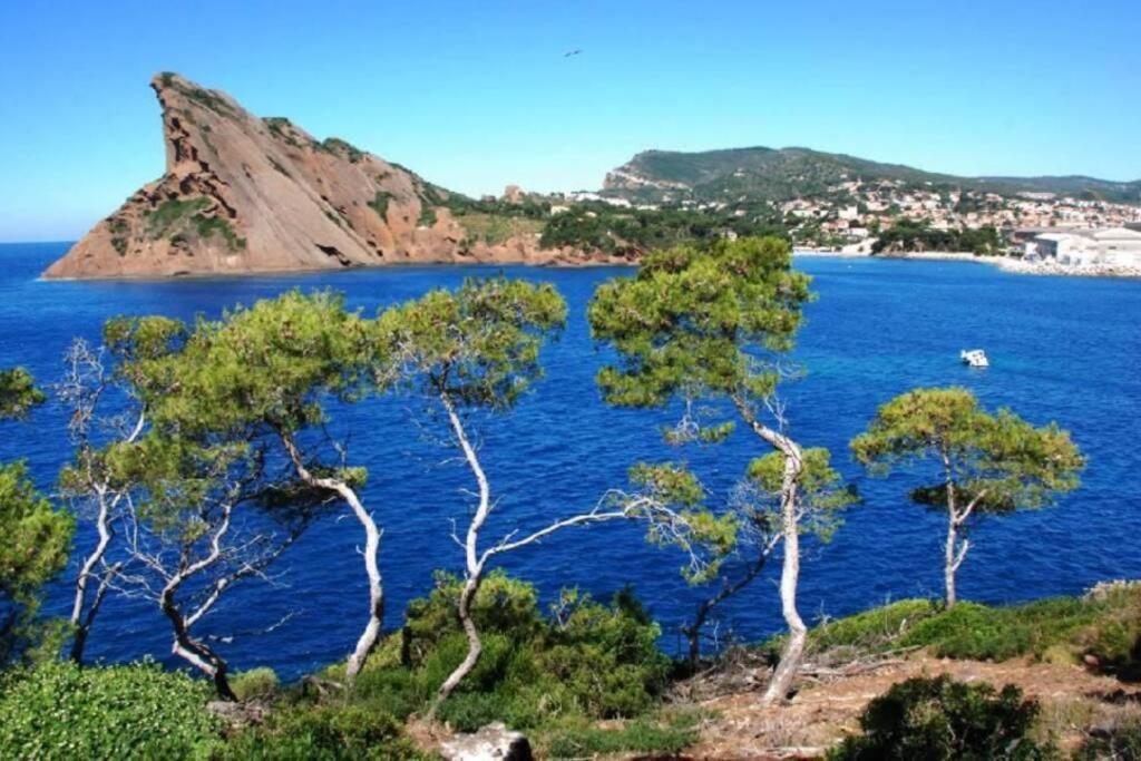 L'Oree De La Plage: Appt. Tout Confort 4/6 Pers. 400 M De La Plage Apartment La Ciotat Luaran gambar